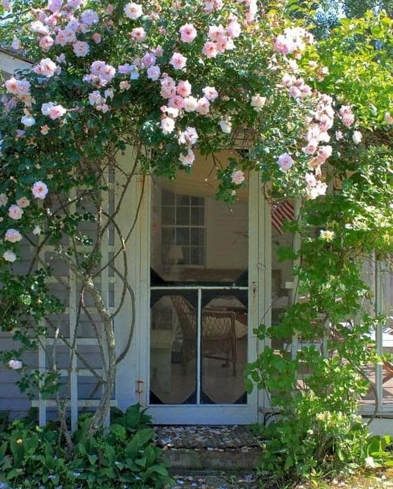 Garden door with trellis and flowers