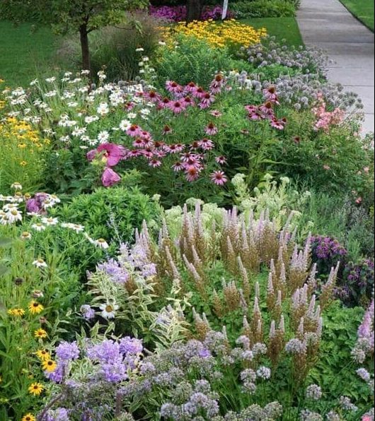 Colourful front yard with appealing flower arrangement
