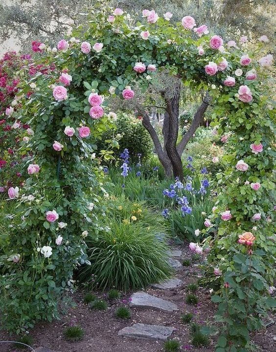 A garden path with flower arch