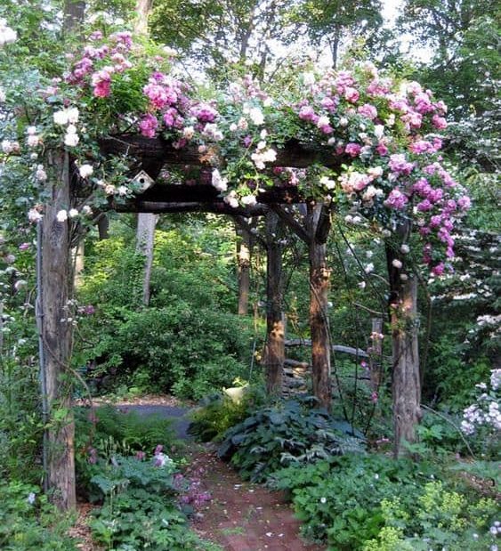 A simple, rustic wooden pergola decorated with colourful flowers