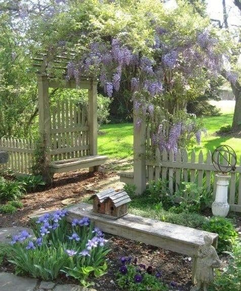 A wooden picket fence entrance with climbing flowers