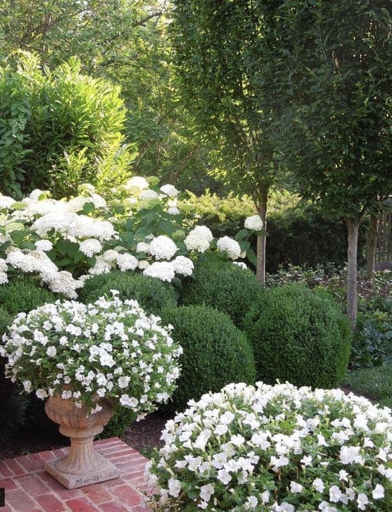 White and green flowers in a formal cottage garden
