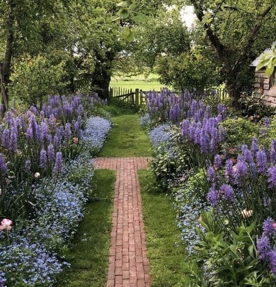 Lavender and brick path