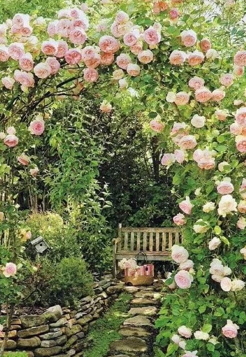 A bench under flowers in a beautiful cottage garden spot