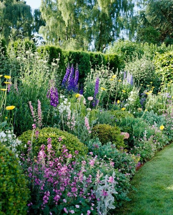 Colourful garden bed with a variety of coloured flowers and plants