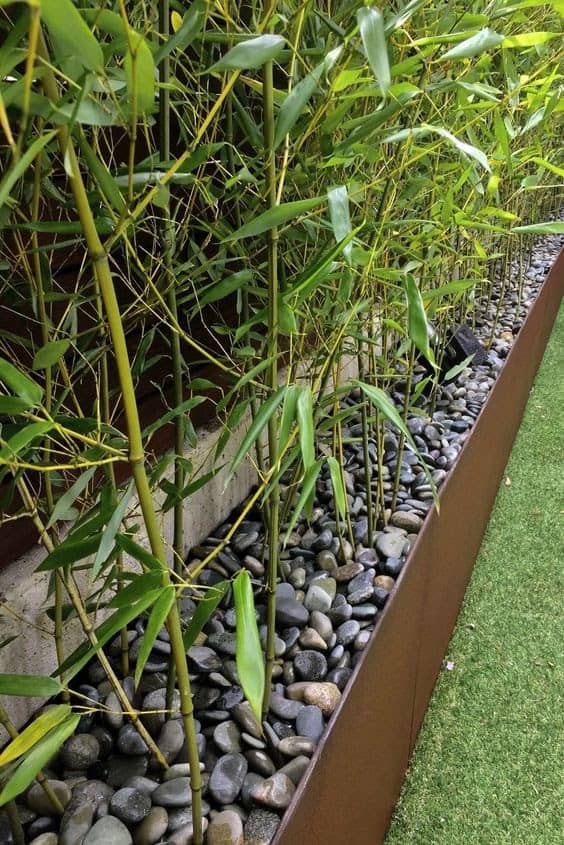 Bamboo and pebbles giving off a clean, contemporary look for planters
