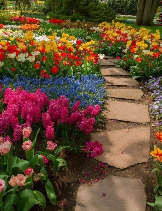 Stone path with flowers