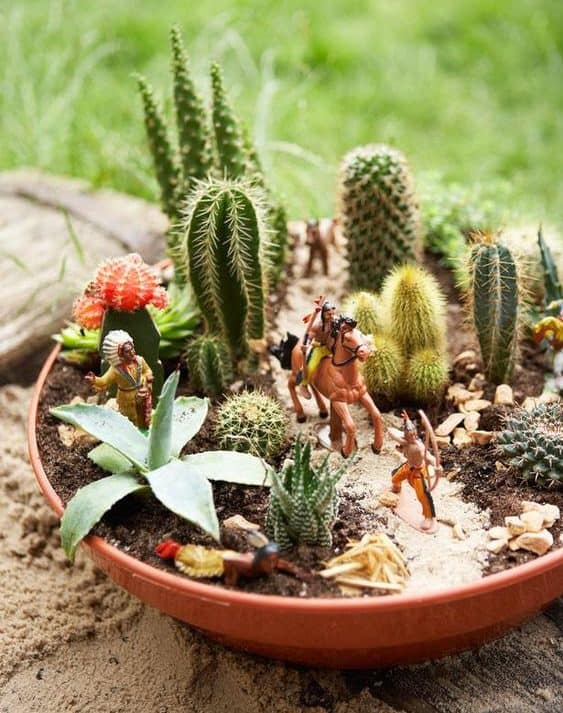 Miniature garden with some small cacti and pebbles