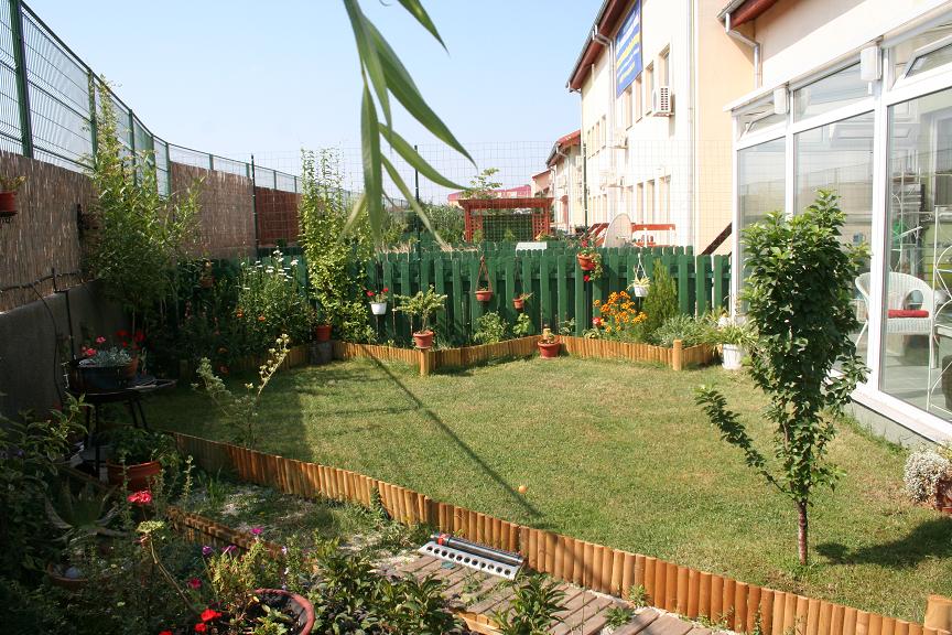 Compact garden with variety of greenery and flowers