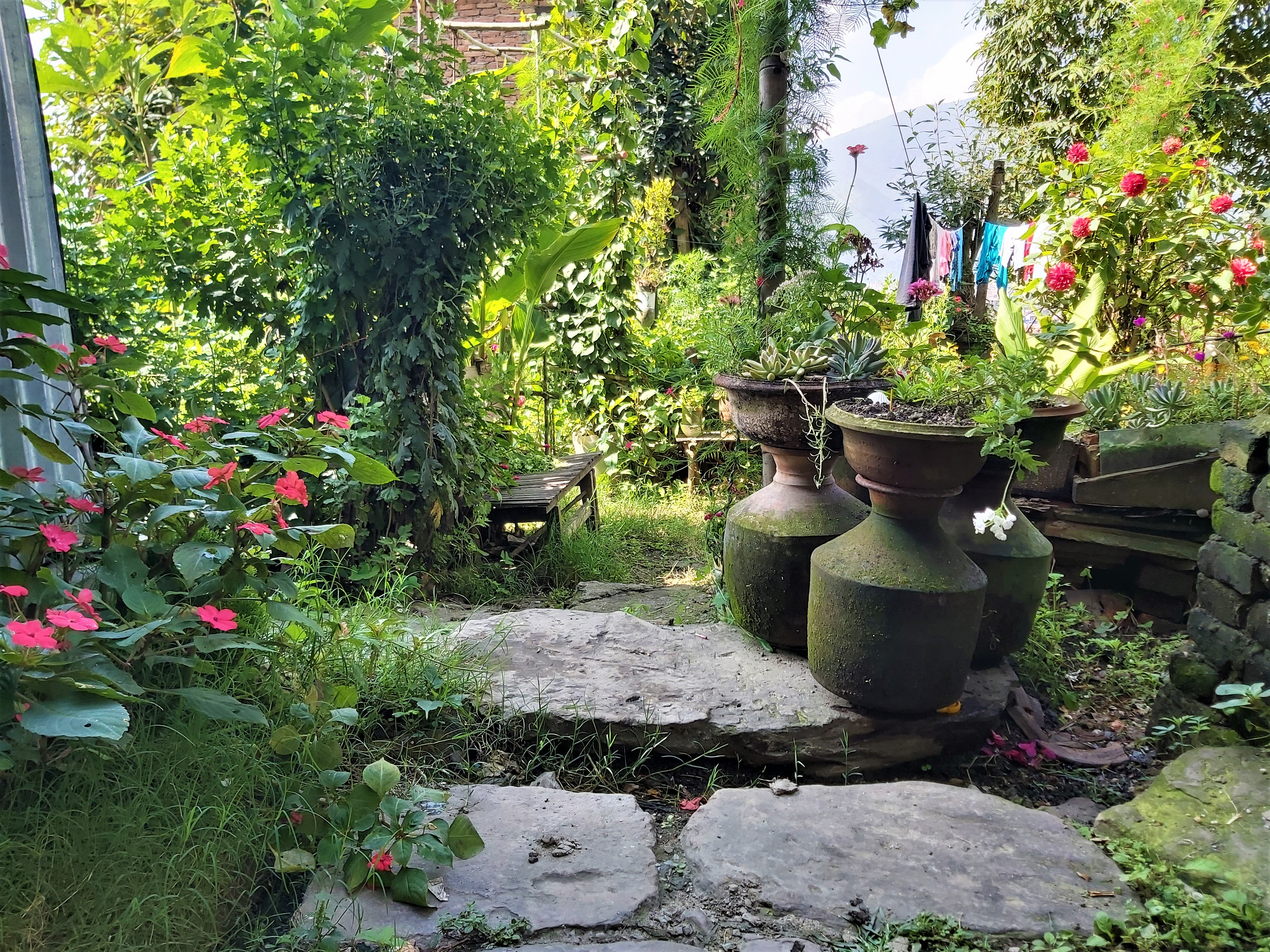 Small flower garden with antique large vases/containers