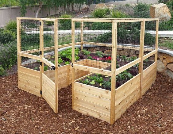 Enclosed vegetable garden safe from pests and pesky animal intruders