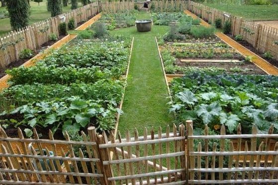Huge fenced vegetable garden in a massive size yard