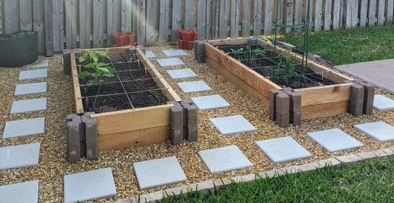 Small vegetable garden with stepping stones