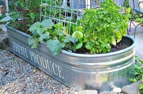 Tin bath style planter that adds a rustic charm to the garden