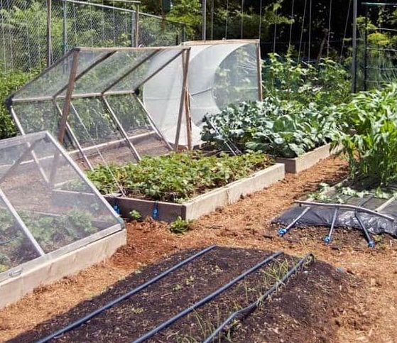 Removable greenhouse roof for garden beds