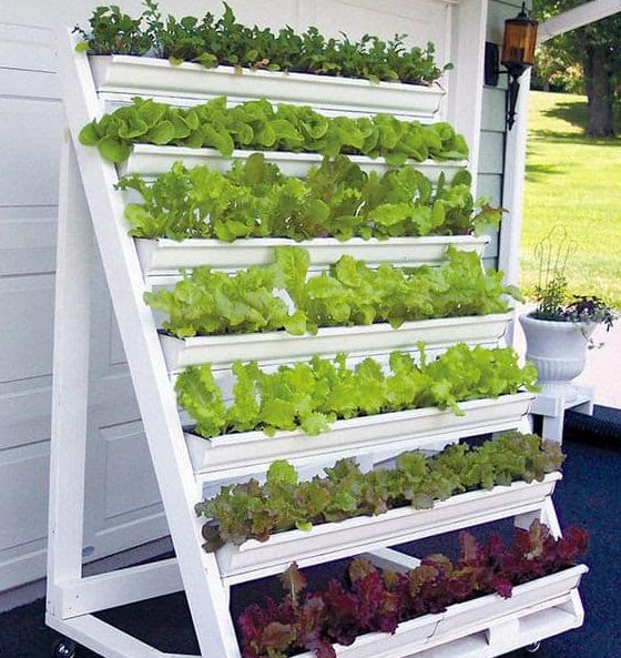 50 Vegetable Garden Ideas To Grow Your
