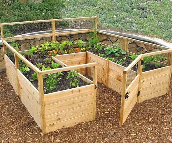 Tiny raised and enclosed garden bed