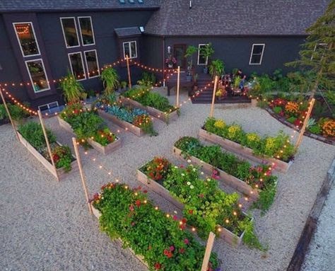 Vegetable garden with gravel and lights