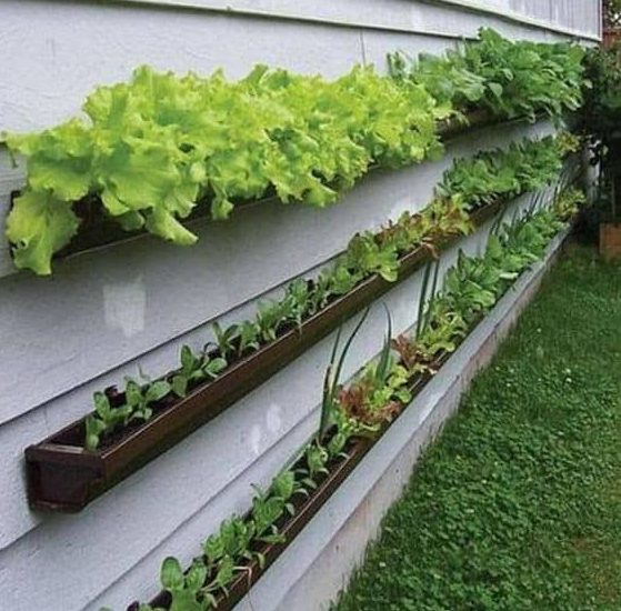 Wall mounted herb garden made of wood