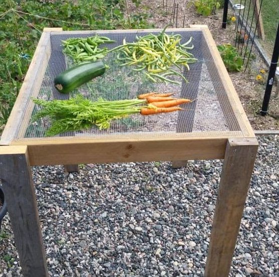 Vegetable wash station made from mesh and wooden planks