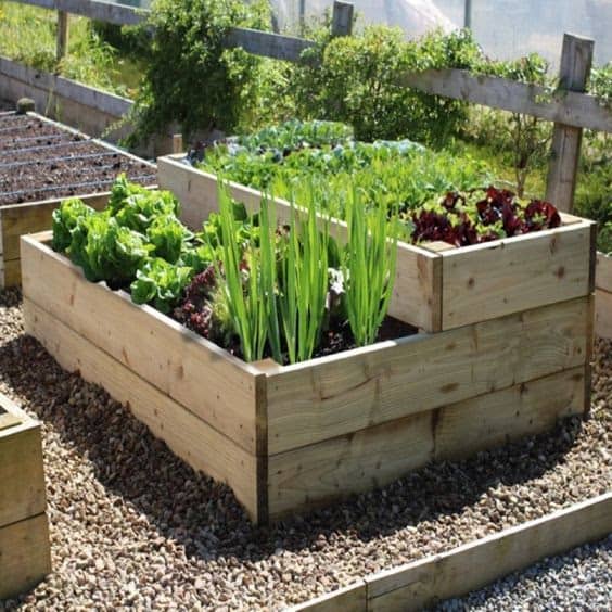 Tiered vegetable planter in a small garden space