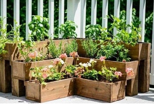 DIY tiered herb garden made from pallets