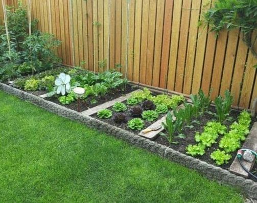 Stone garden beds separating the produce