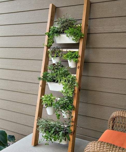 Ladder vertical garden