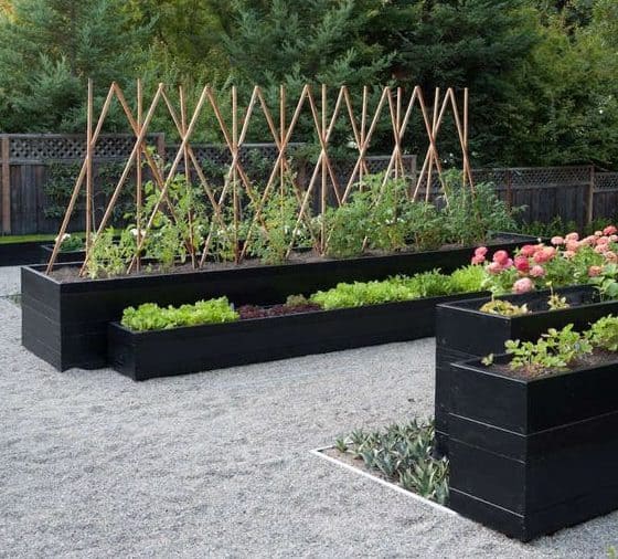 Modern veggie garden beds with gravel