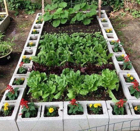 50 Vegetable Garden Ideas to Grow Your Own Food - Extra - BillyOh