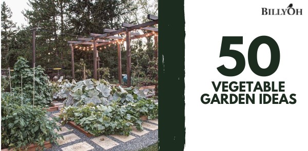 50 Vegetable Garden Ideas