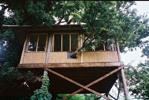 DIY one room treehouse
