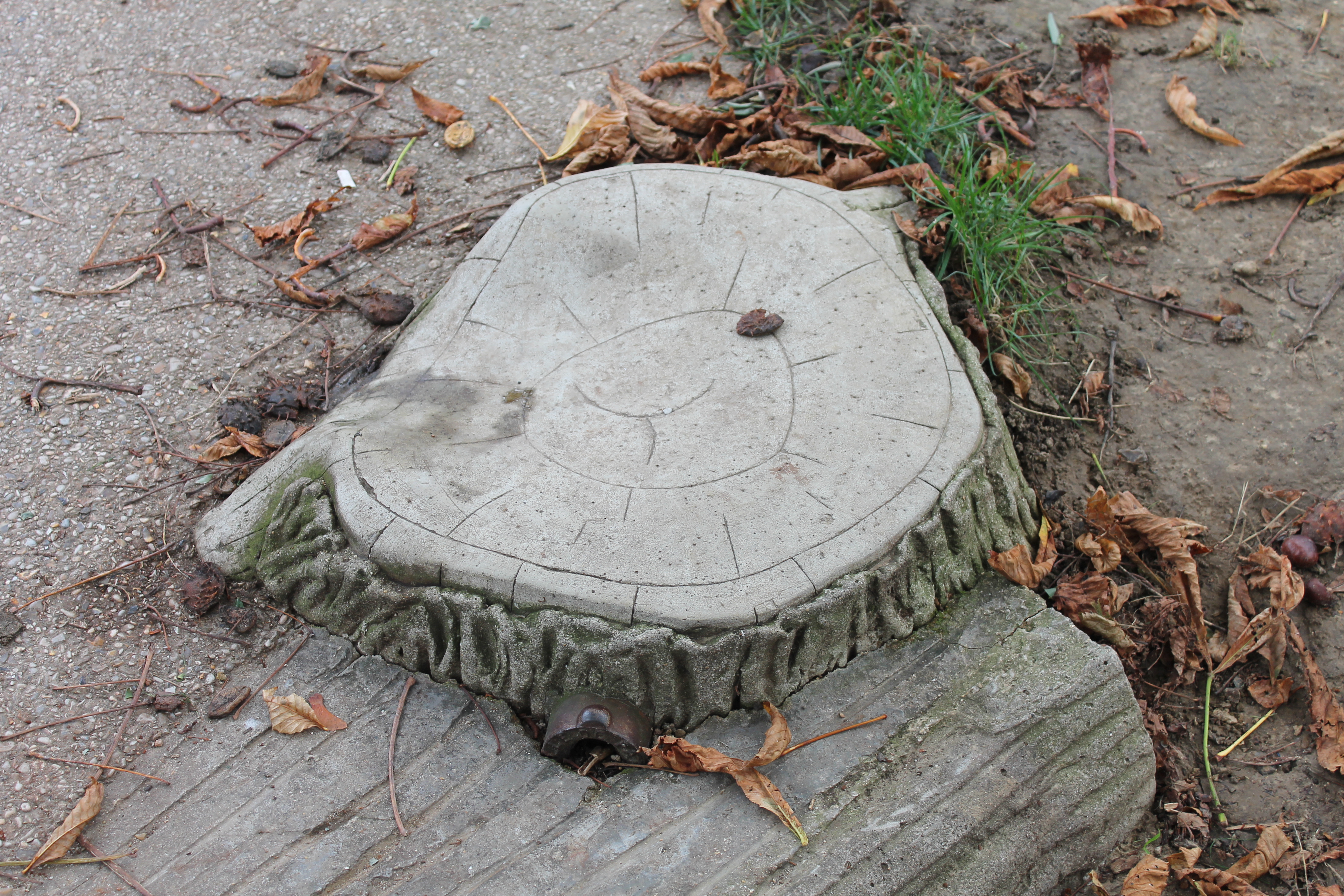 Tree stump stepping stone