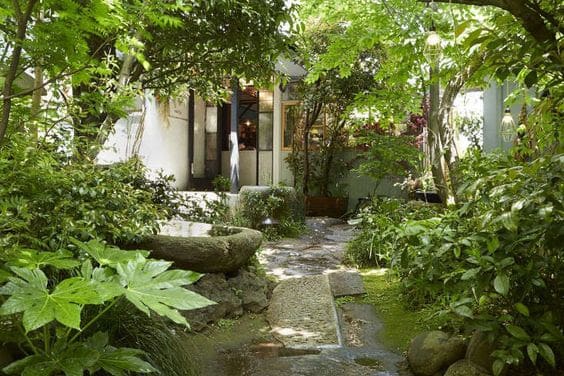 A Chinese-inspired garden filled with a variety of plants with stones