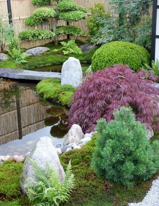Perfectly trimmed plants in a Zen-style outdoor space