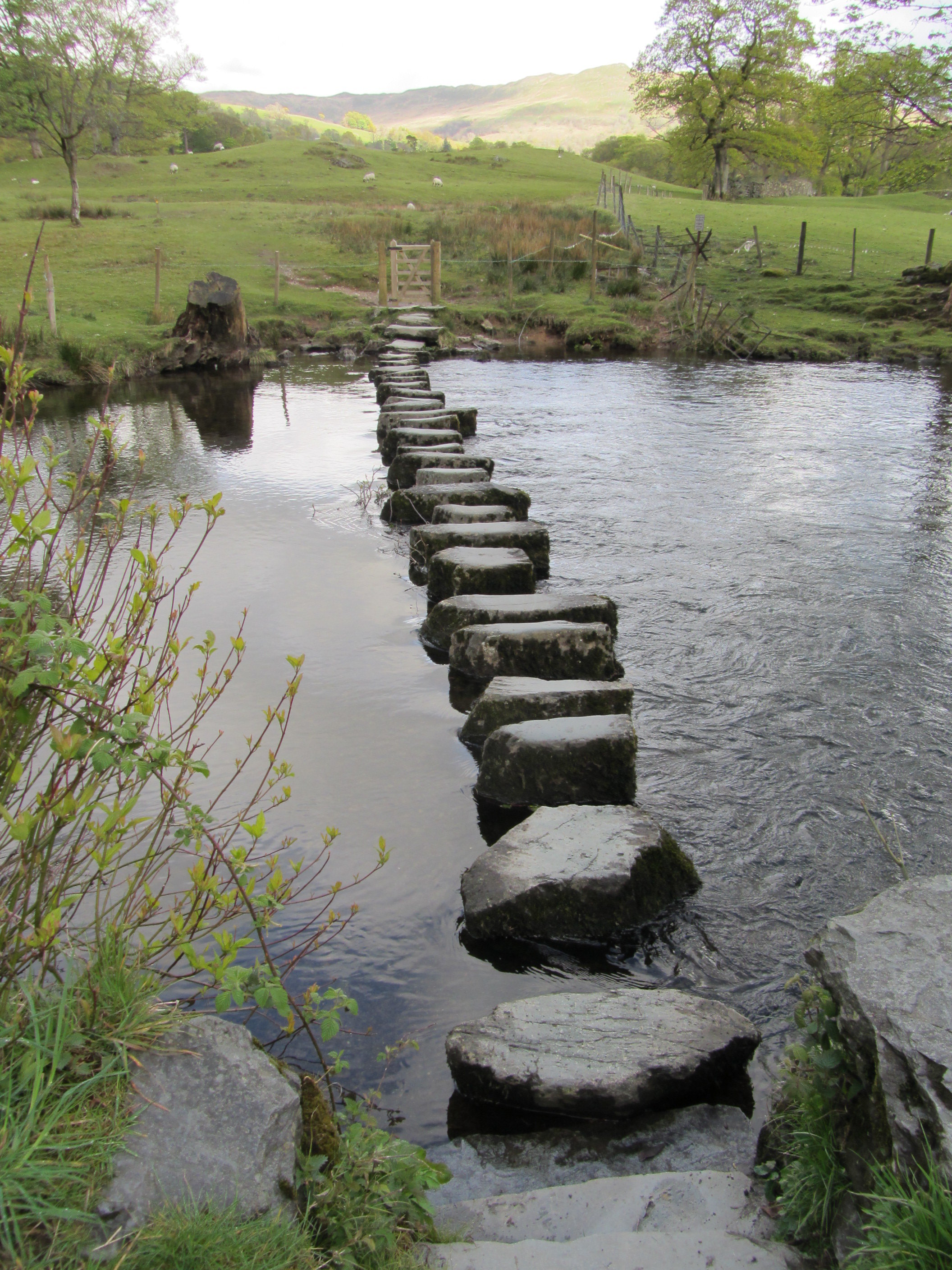 Stepping stones on the river