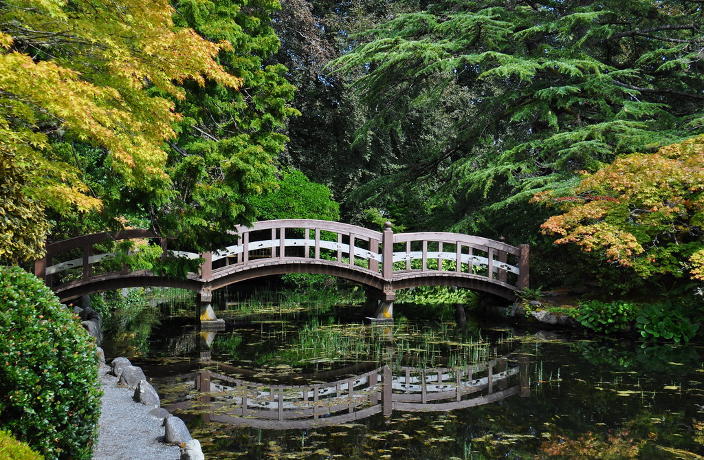 A man-made pond with bridge
