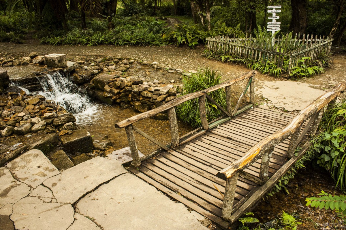 Backyard river with bamboo bridge