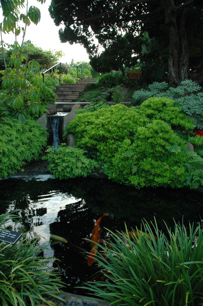 Small garden pond with mini waterfall