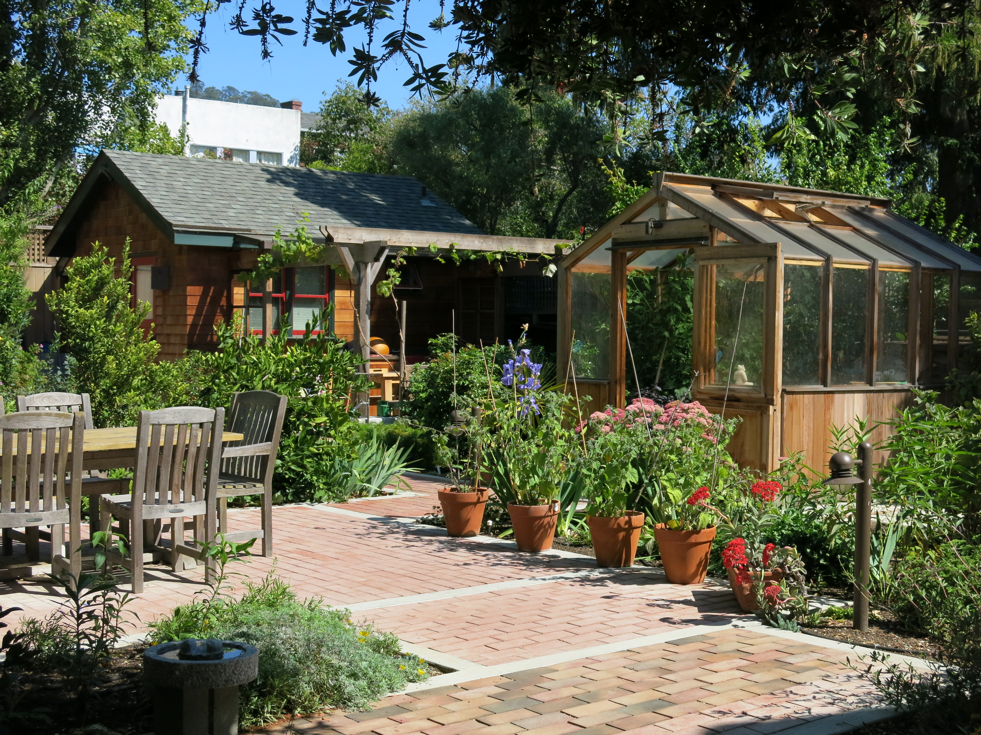 Cottage garden in Berkeley