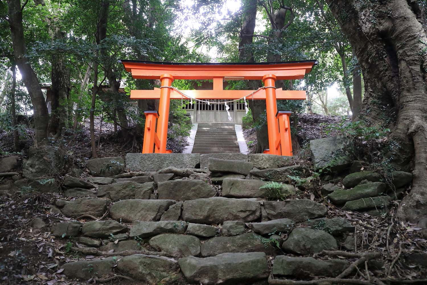 Japanese arch gate