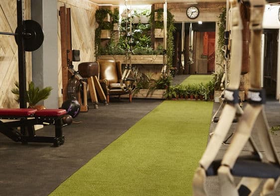 A customised garden gym filled with plants