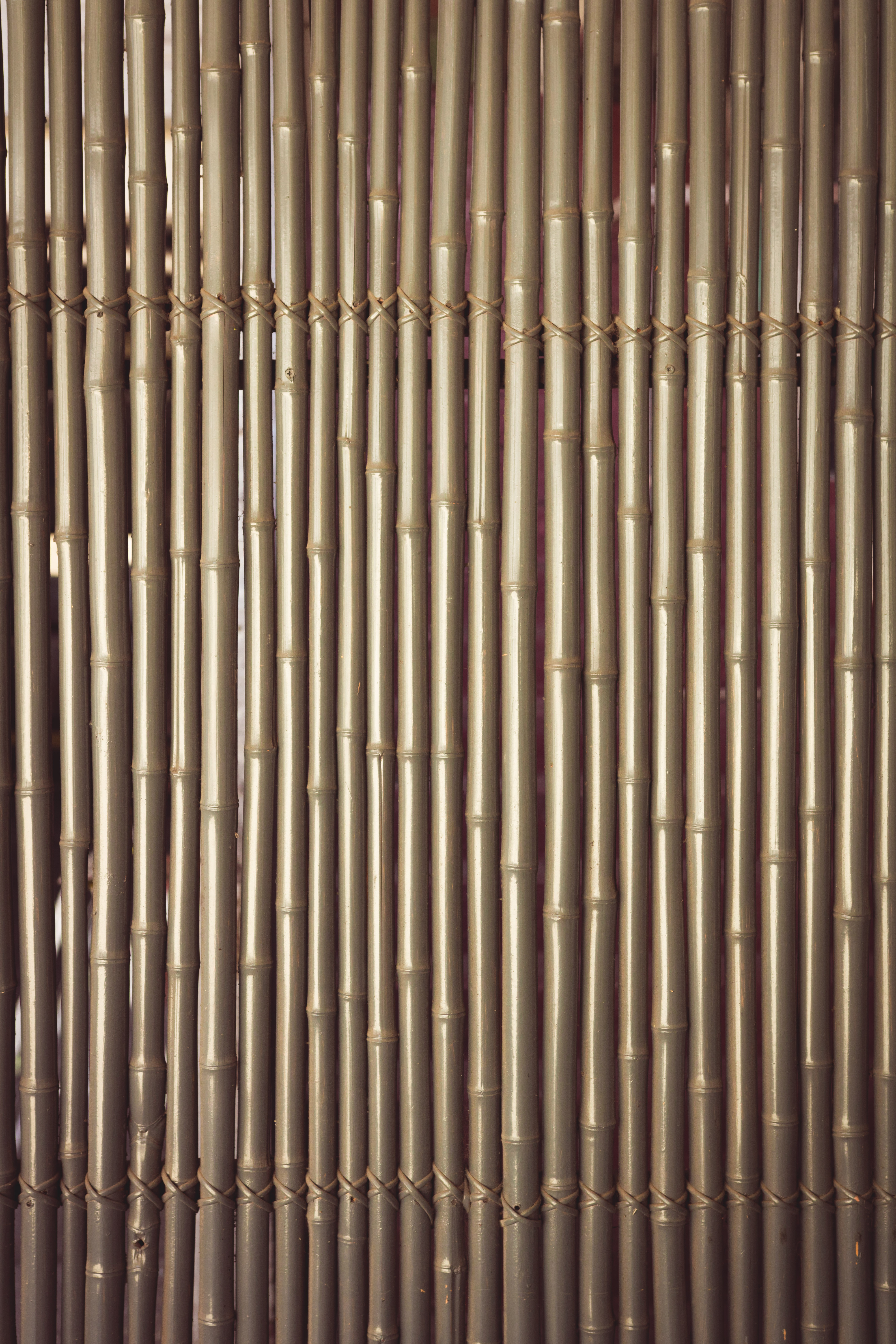 Bamboo walls