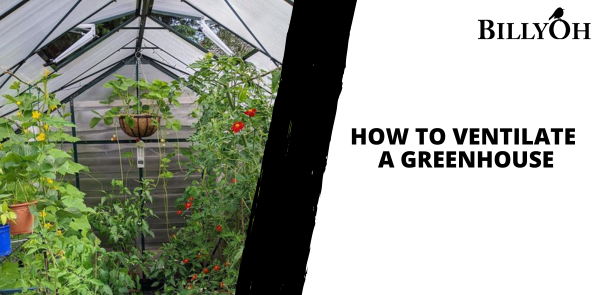 How to Ventilate a Greenhouse