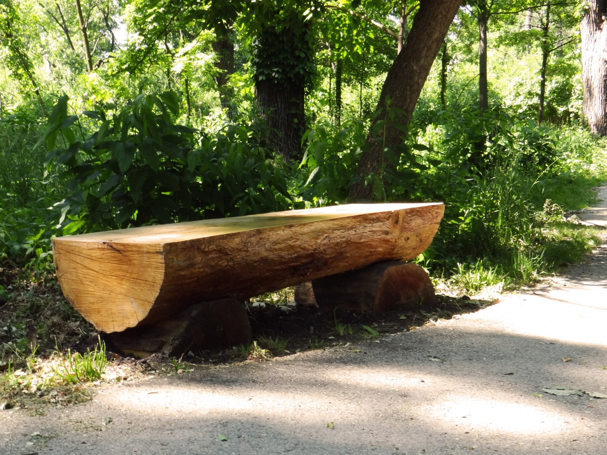 Timber log bench along the pathway