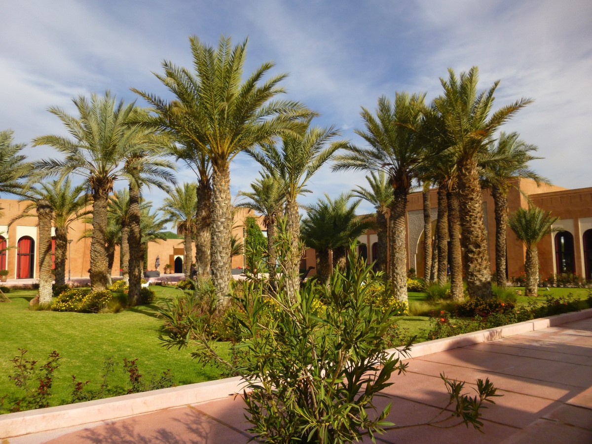 Moroccan villa courtyard