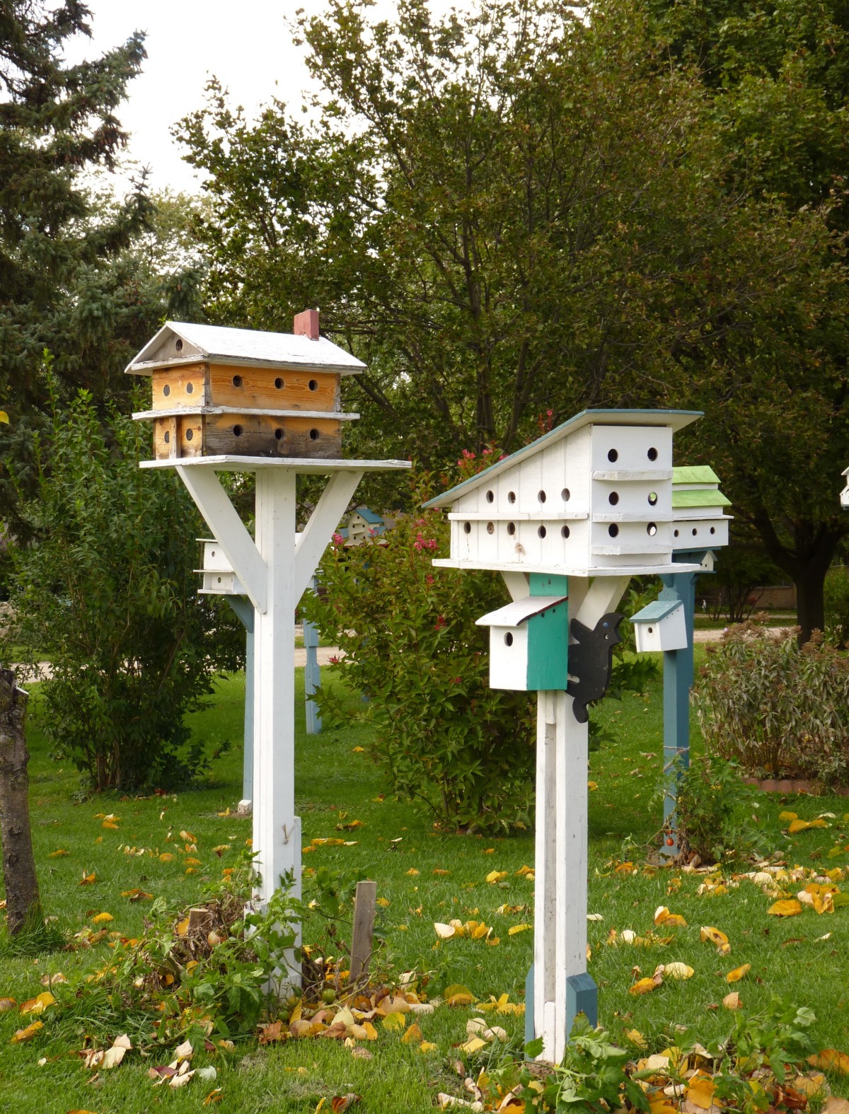 Backyard with bird house and feeders