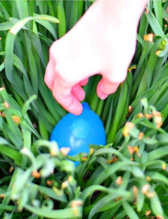 A blue balloon hidden in grass