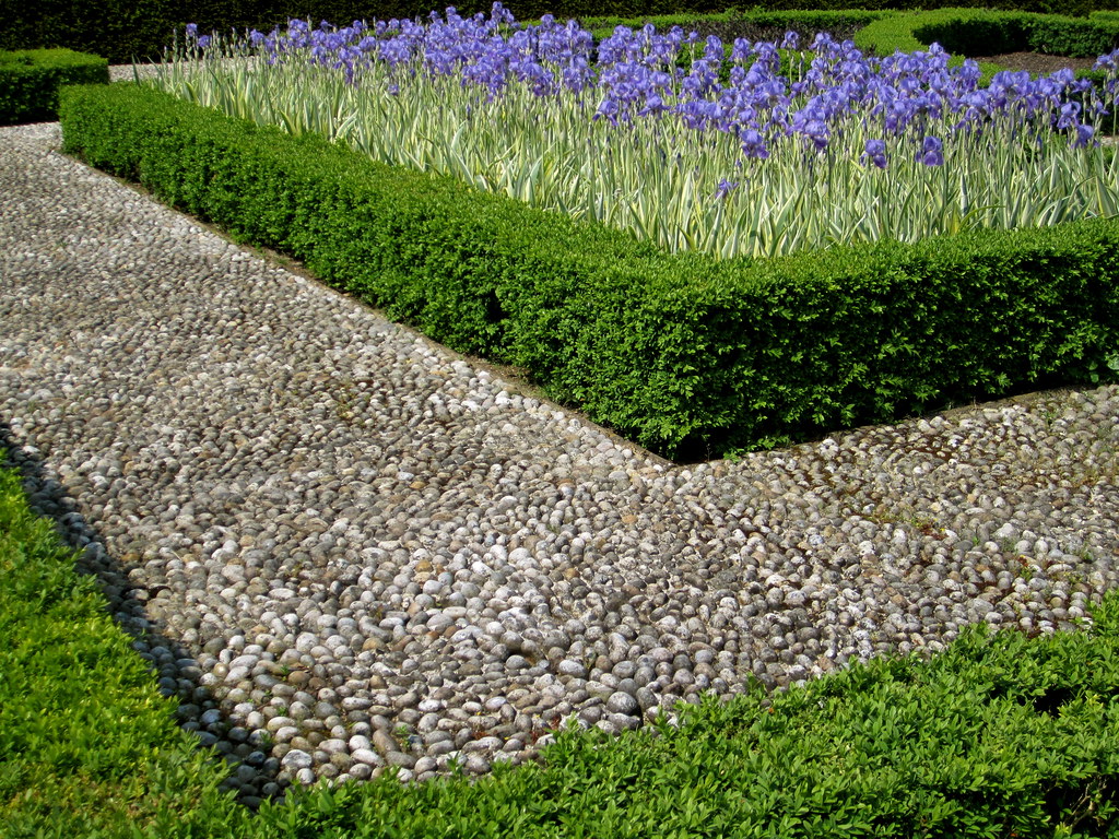 Iris, flower bed landscape with pebble pathway