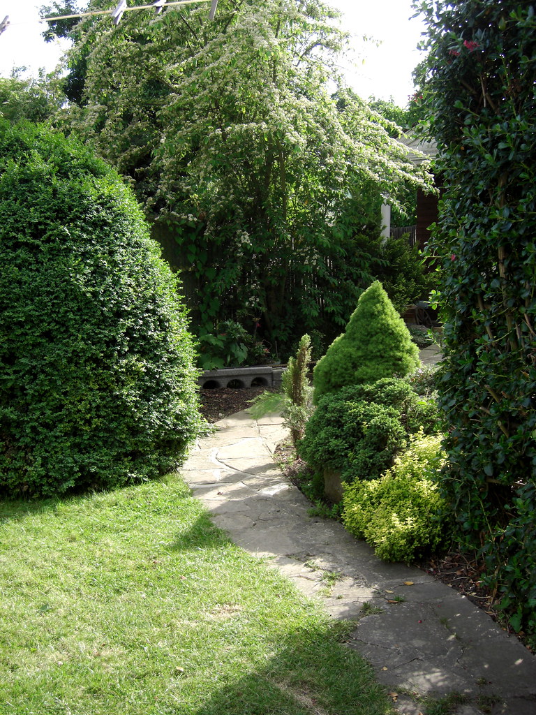 Diagonal view across the middle part of the garden